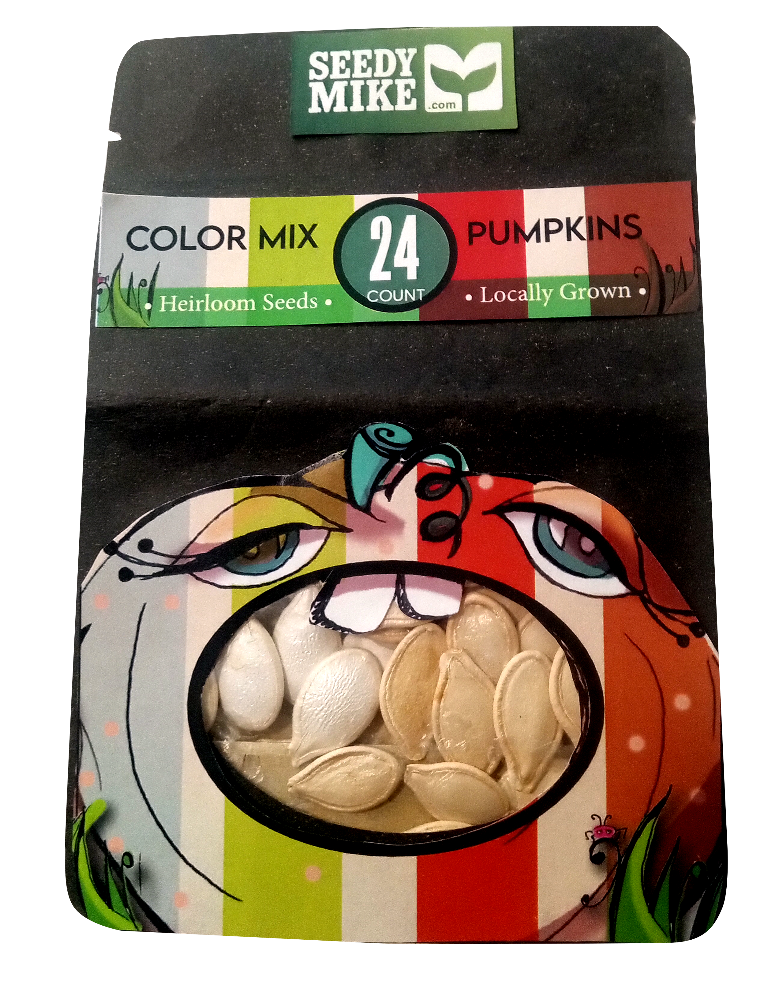 Multi-Color Pumpkins - Heirloom Seed Package - 24 count