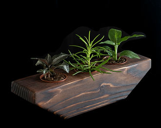3plants-wood-trapezoid-planter.jpg