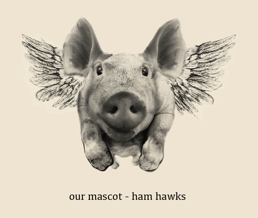animation-HAMhawks.gif