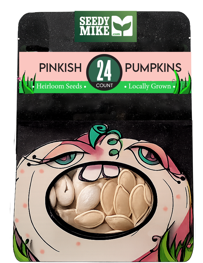 Thumbnail: Multi-Color Pumpkins - Heirloom Seed Package - 24 count