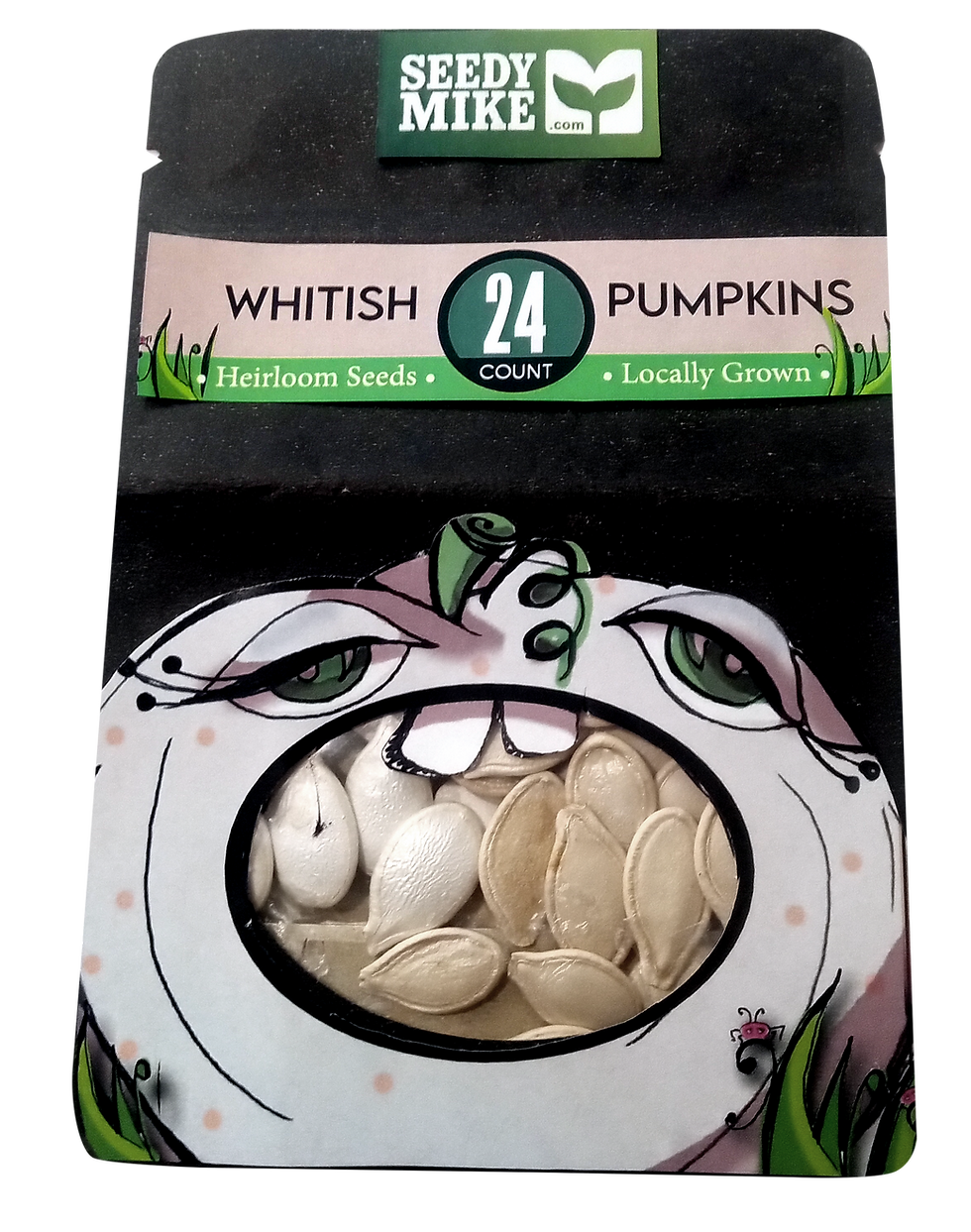 Thumbnail: Orange Pumpkins - Heirloom Seed Package - 24 count