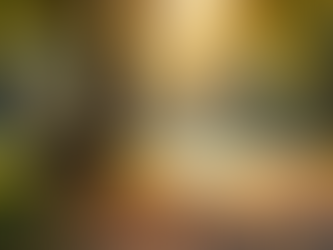 Rebuilding Connections After Family Estrangement: A Path to Family Estrangement Recovery