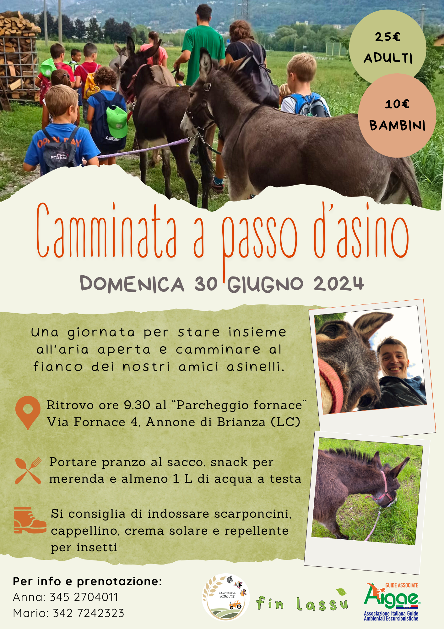 Camminata a passo d'asino
