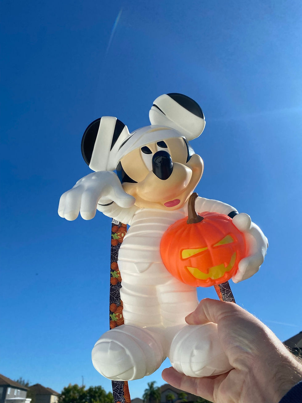 ディズニー ポップコーンバケット ミッキー 限定