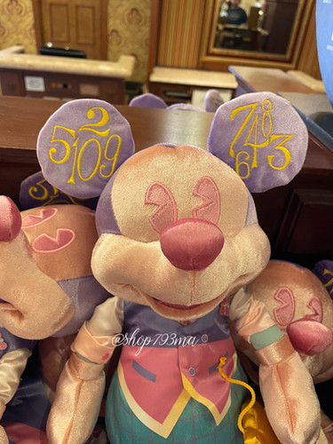 Y*I様 ◆メインアトラクションシリーズ◆イッツアスモールワールド ミッキー リ 東京ディズニーランド（R）アトラクションの期間限定プログラム