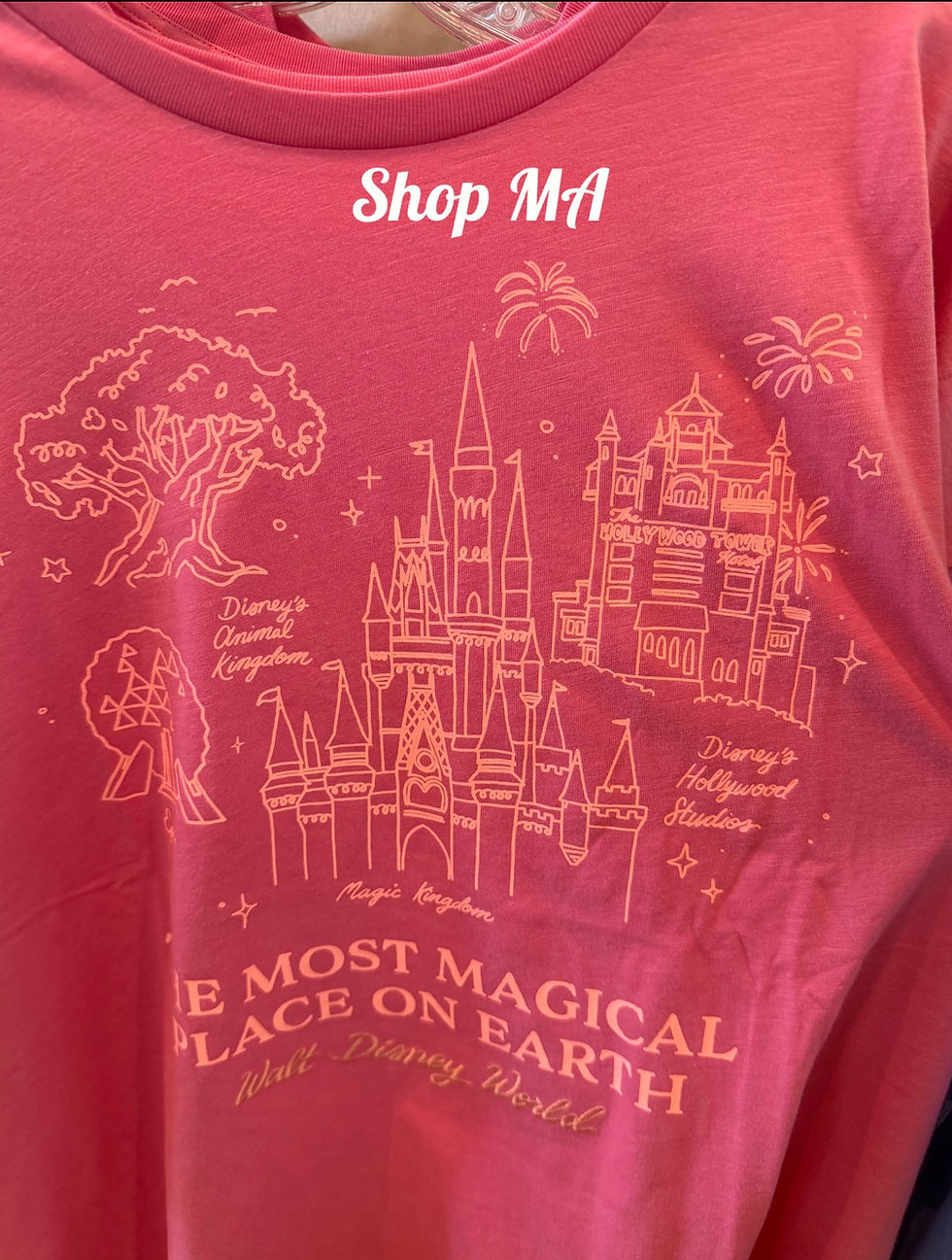 サムネイル： WDWパークアイコン　レディースTシャツ