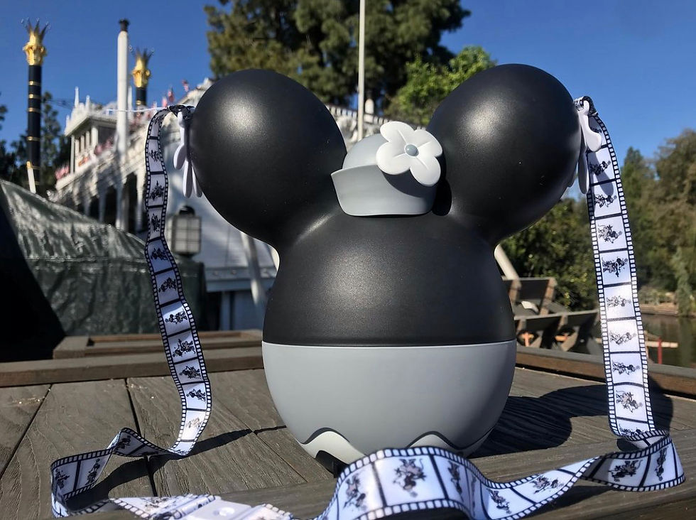 Disney - 新品 ディズニー限定品 パルパルーザ ミッキーミニー ポップコーンバケット Disney ポップコーンバケット パルパルーザ ミニーファン