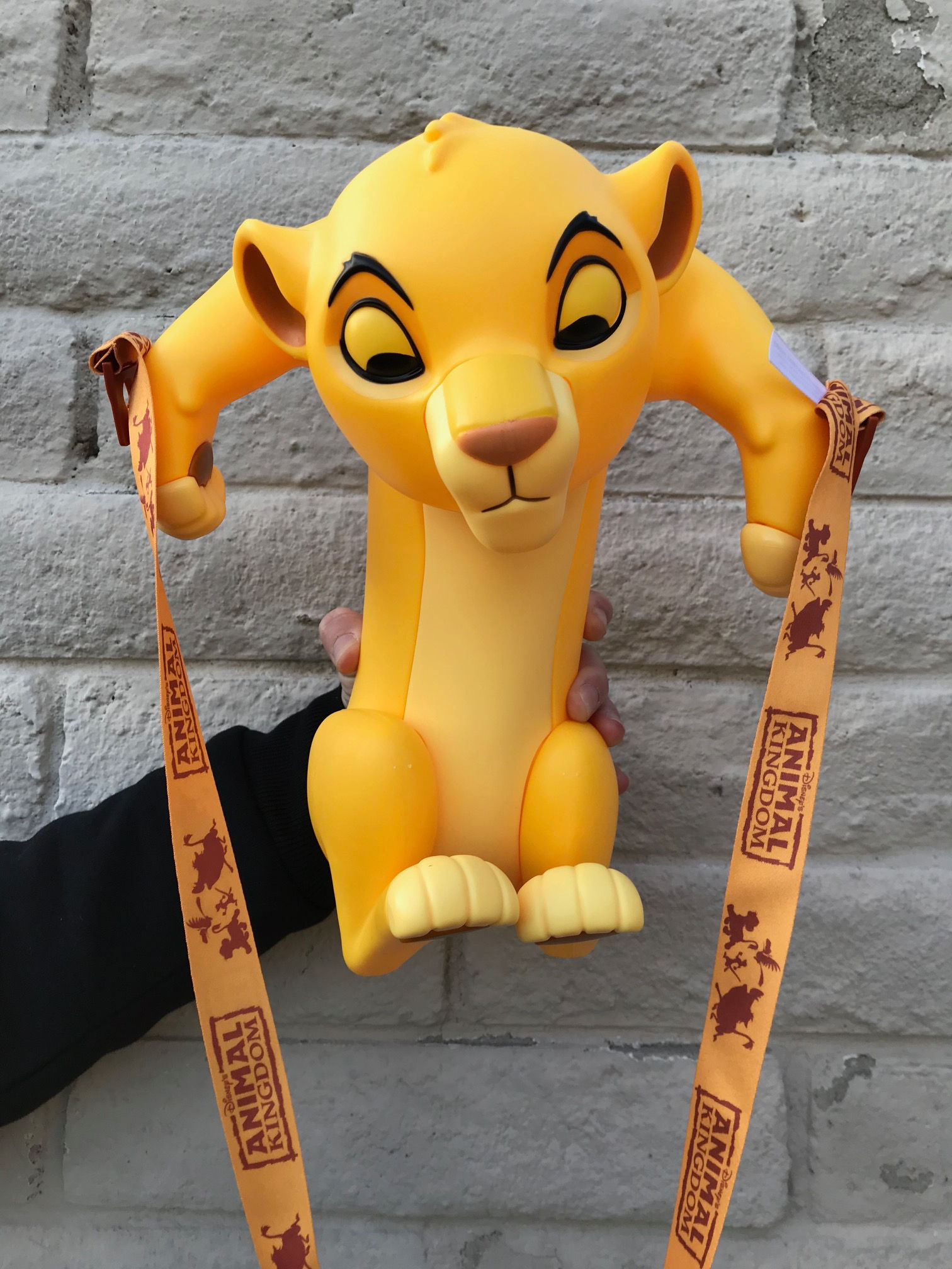 シンバのポップコーンバケット