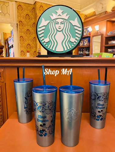 スターバックス お得な4パークセット ストロー付きステンレス