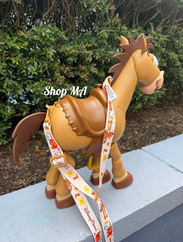 トイストーリー ブルズアイ ポップコーンバケット | Shop MA