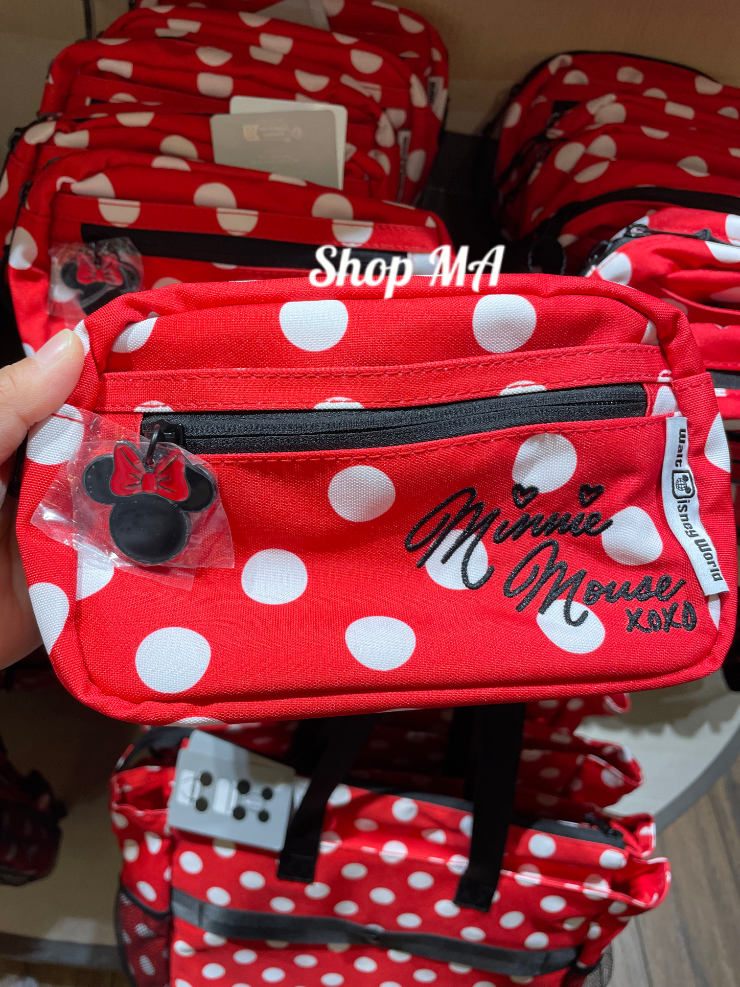 ミニー　２Wayバッグ