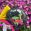 Thumbnail: Main Street Electrical Parade 50th Anniversary Loungefly Headband by Disney