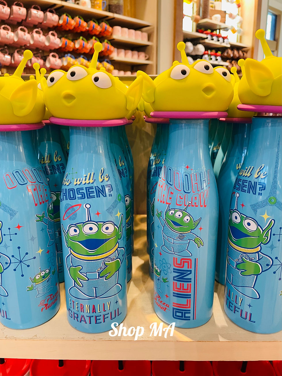 リトルグリーンメン　ステンレス水筒