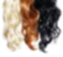 Curly Hair isolated in white. Palette. Colors Set. Tints.jpg