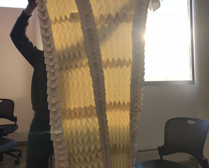 IMG_0314.JPEG