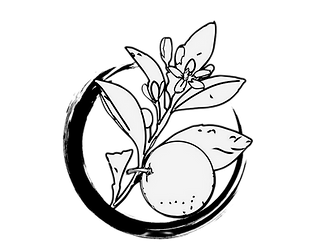 When Women Preach logo