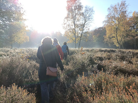 IMG20251109100705 (1).jpg