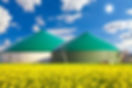 AdobeStock_51599612.jpeg