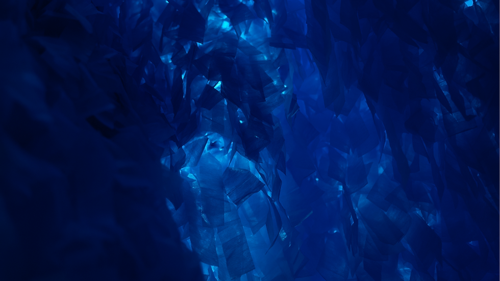 SONAG NCAT Nursing Hero Banner (7).png