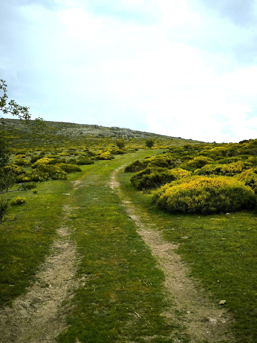 Nuestro camino en la pradera