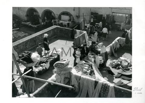 Eventos e atividades em Oliveira de Azeméis