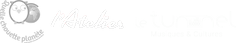 ZIK-QCP-bandeau-partenaires-espaces.png