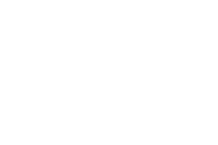 Solis Endovascular