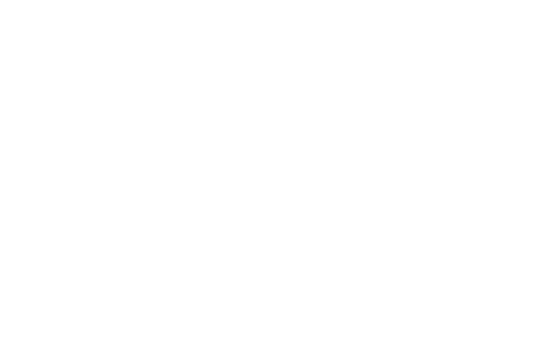 Immerse