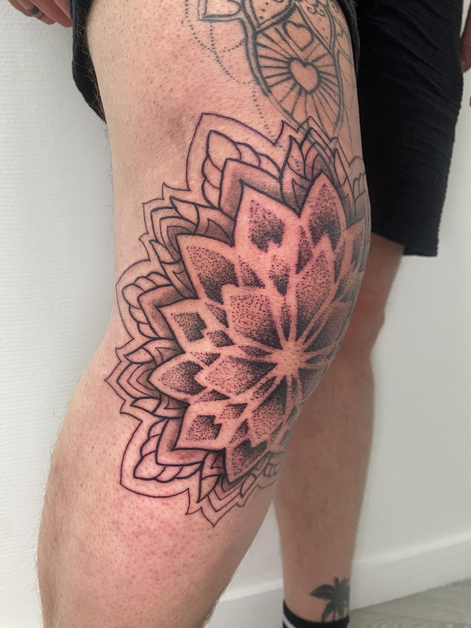 Floral Designs — Forbidden Ink — foto 13