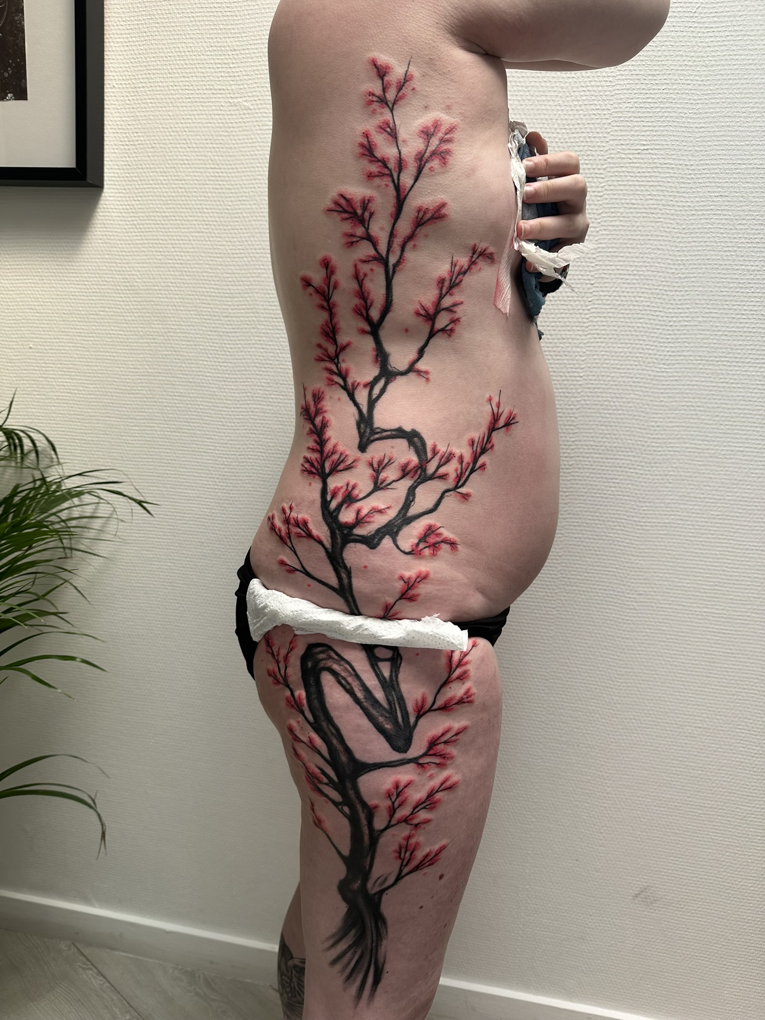 Color Designs — Forbidden Ink — foto 4