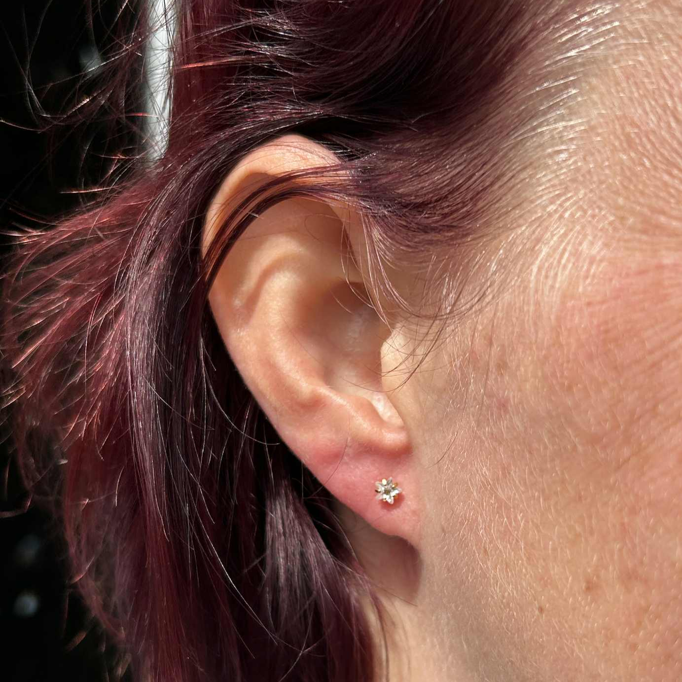 Piercings — Forbidden Ink — foto 16