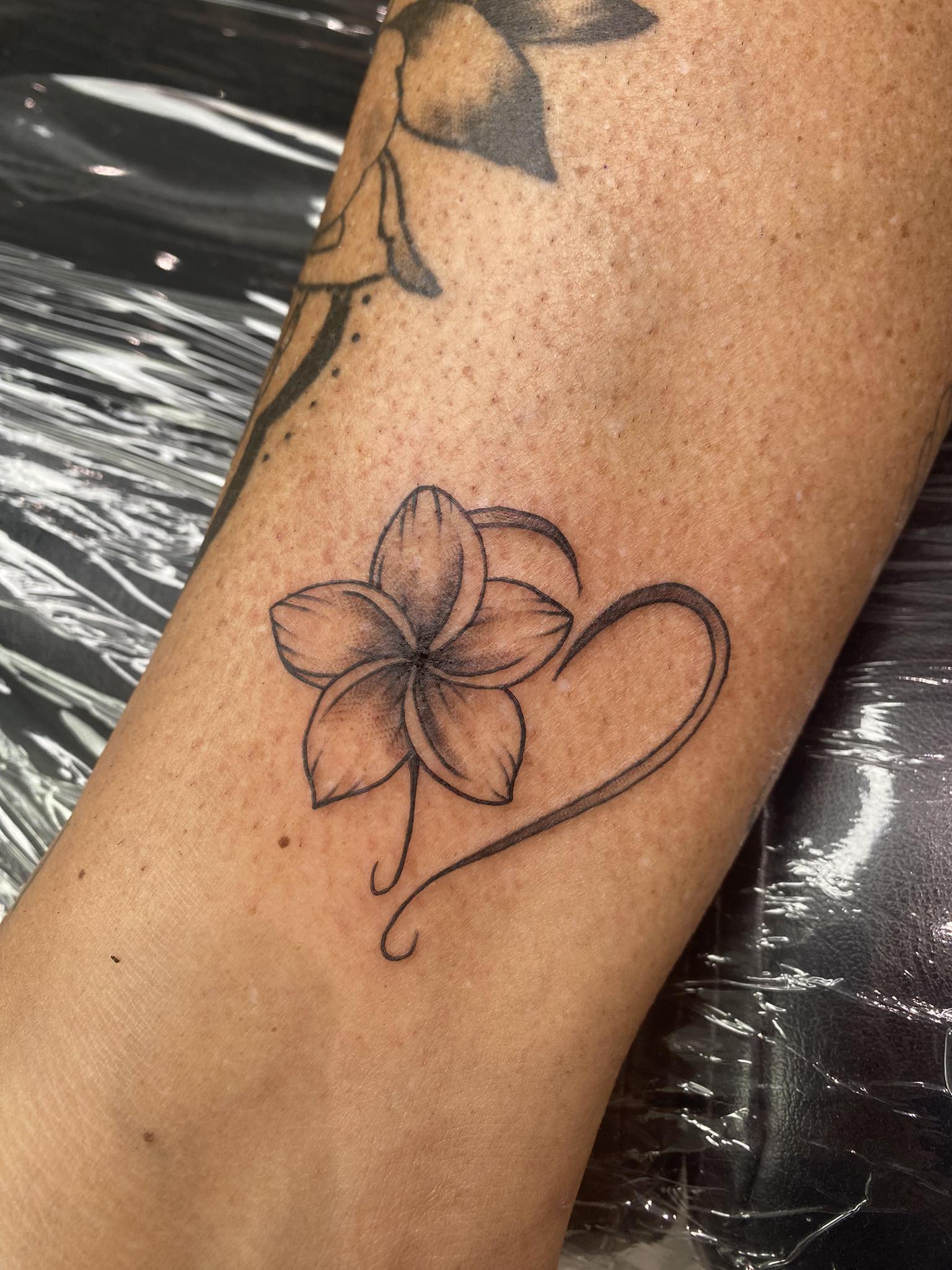Fine Line Tattoo — Forbidden Ink — foto 23