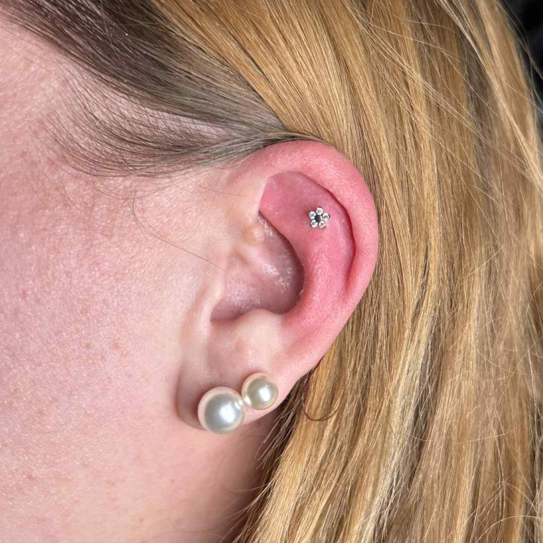 Piercings — Forbidden Ink — foto 13
