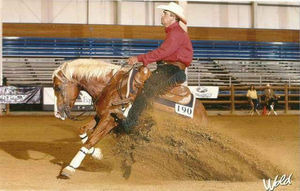 Wimpys Melody Step x Weavers Heaven Kat