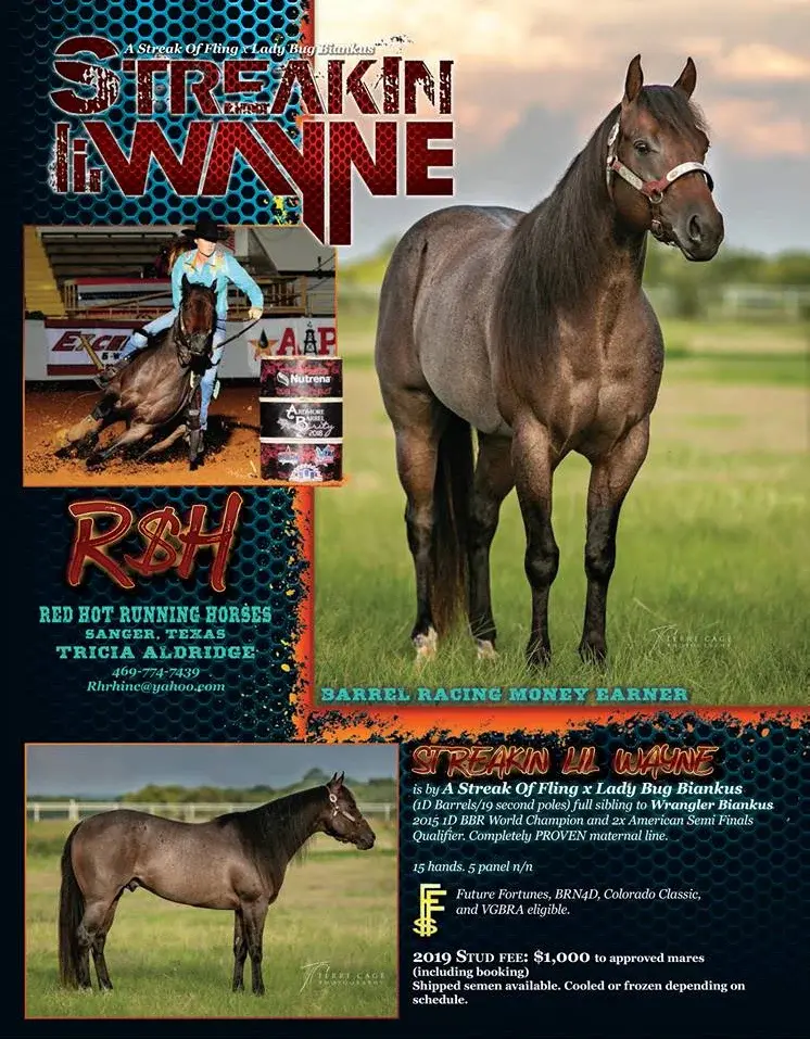 slw 19