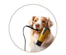 Untitled design (26).png