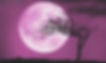 Spring Break Full “PInk Moon” Camp