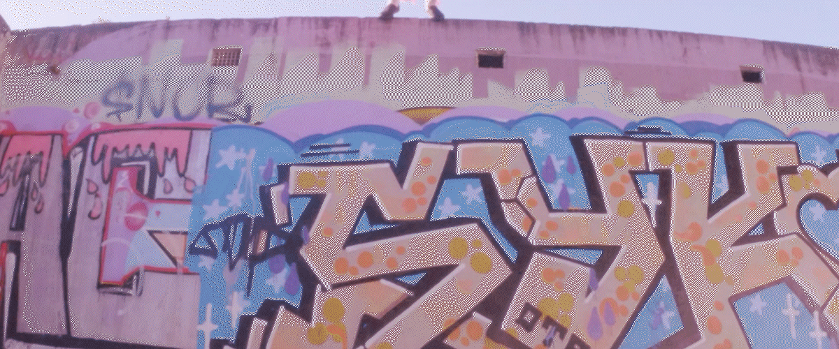 Ninja Image Gif_1.gif