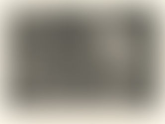 An American Revolution