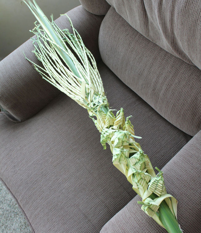 processional-palm2.jpg