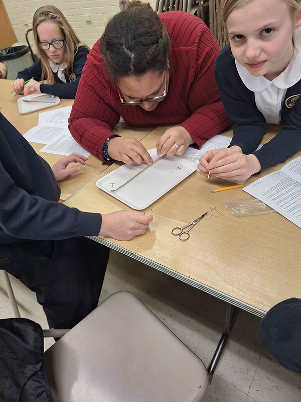 HFA Worm Disection Science Project 2025 (5).jpg