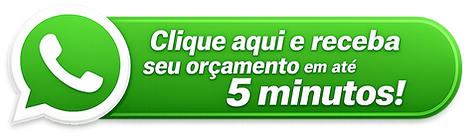 Botão Whatsapp 5 minutos_edited.png