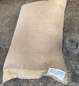 Single jute bag filled with premium nutmeg from bulk shipment – Anahat Foods
