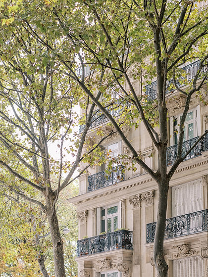 Buildings and trees lining downtown Paris, France.