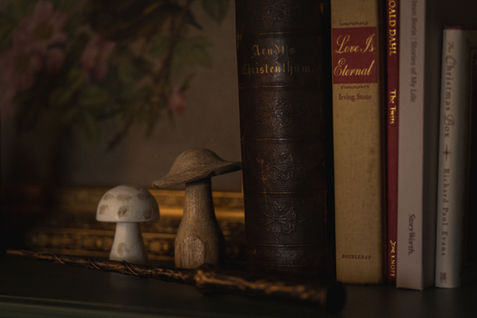 Close-up of small wooden mushrooms with antique books arranged on a shelf.