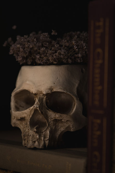 Skeleton skull used as a vase with dried lavender arranged inside.