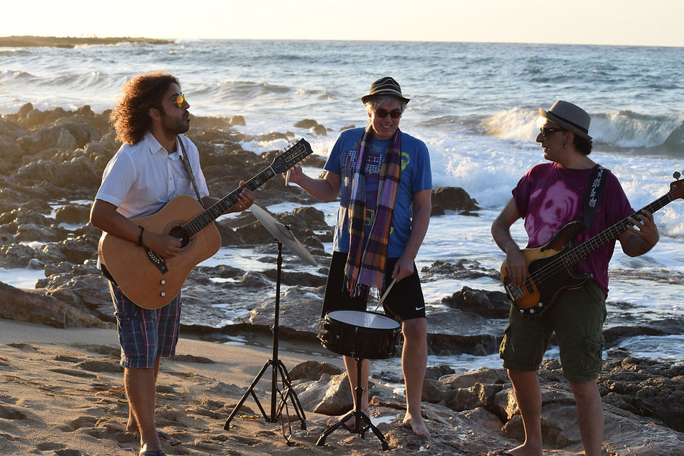 Stray Blue band beach picture