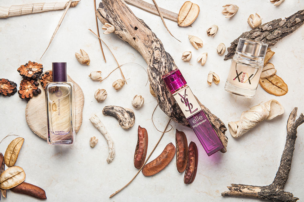 Botellas de perfume sobre fondo claro con ramas y semillas, fotografía de producto creativa ideal para catálogos de cosméticos y campañas publicitarias.
