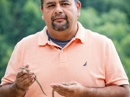 Miguel Ángel de la Torre Loranca: cuando la ciencia y la conservación también son víctimas de la violencia