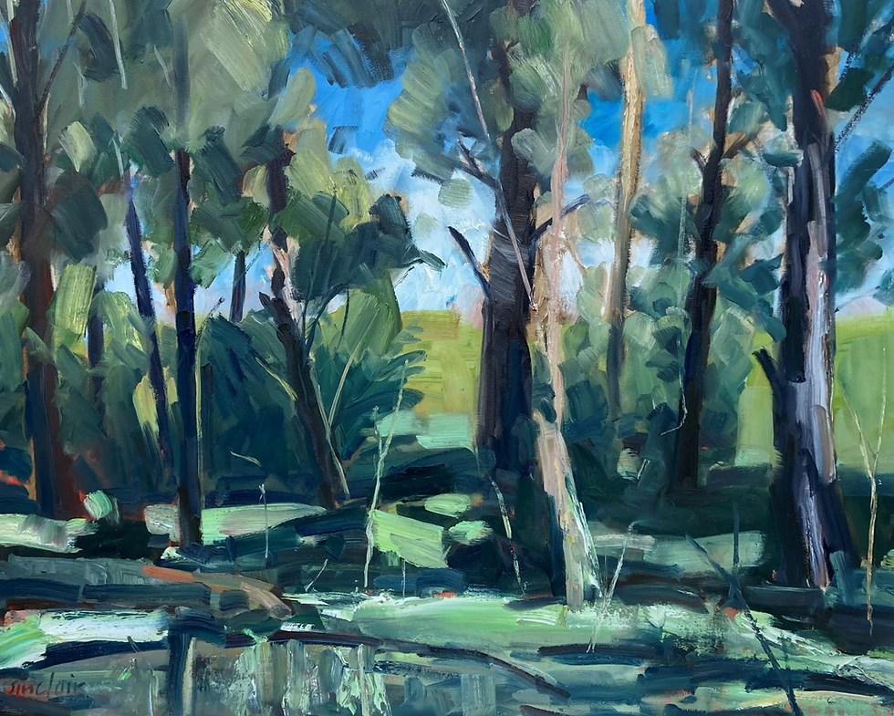 MASTERCLASS IN LANDSCAPE AND PORTRAITURE with Clive Sinclair